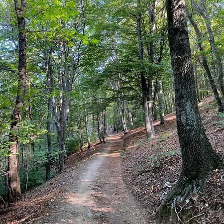 Bella Italia Feriehus *