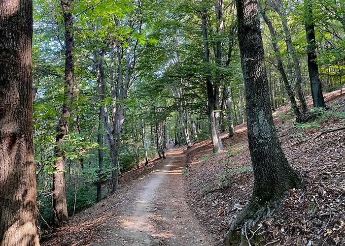 Bella Italia Prázdninový dům *